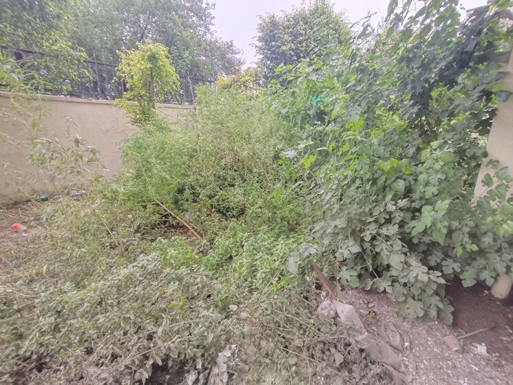 Garden, ss-almeria 3 Bedroom 2000 Sq.Ft. Builder Floor In Sector 84 Gurgaon 9905925