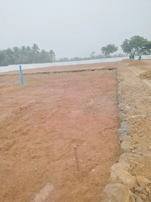 Plot For Sale in Nellikuppam