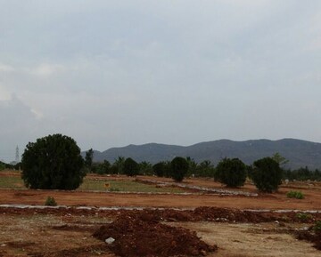  Plot For Sale in Vidyaranyapura