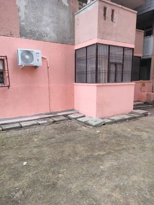 3 BHK Apartment For Rent in Paras Tierea, Sector 137