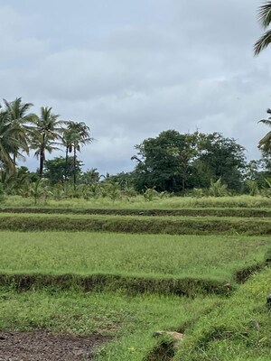  Land For Sale in Belagola