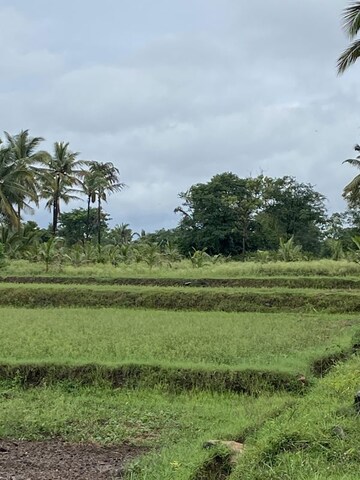  Land For Sale in Belagola