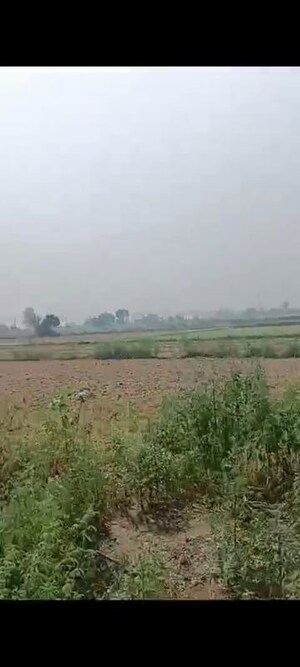  Plot For Sale in Sector 10 Greater Noida