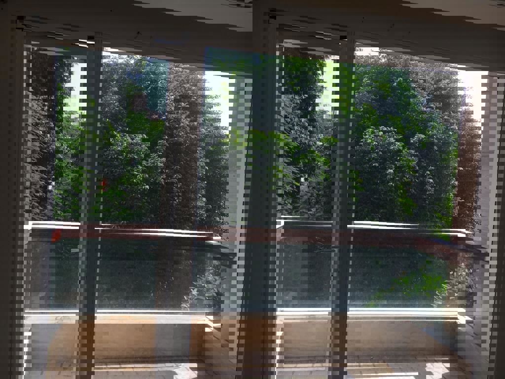 4 BHK + Servant Room Builder Floor For Rent in Safdarjung Development Area