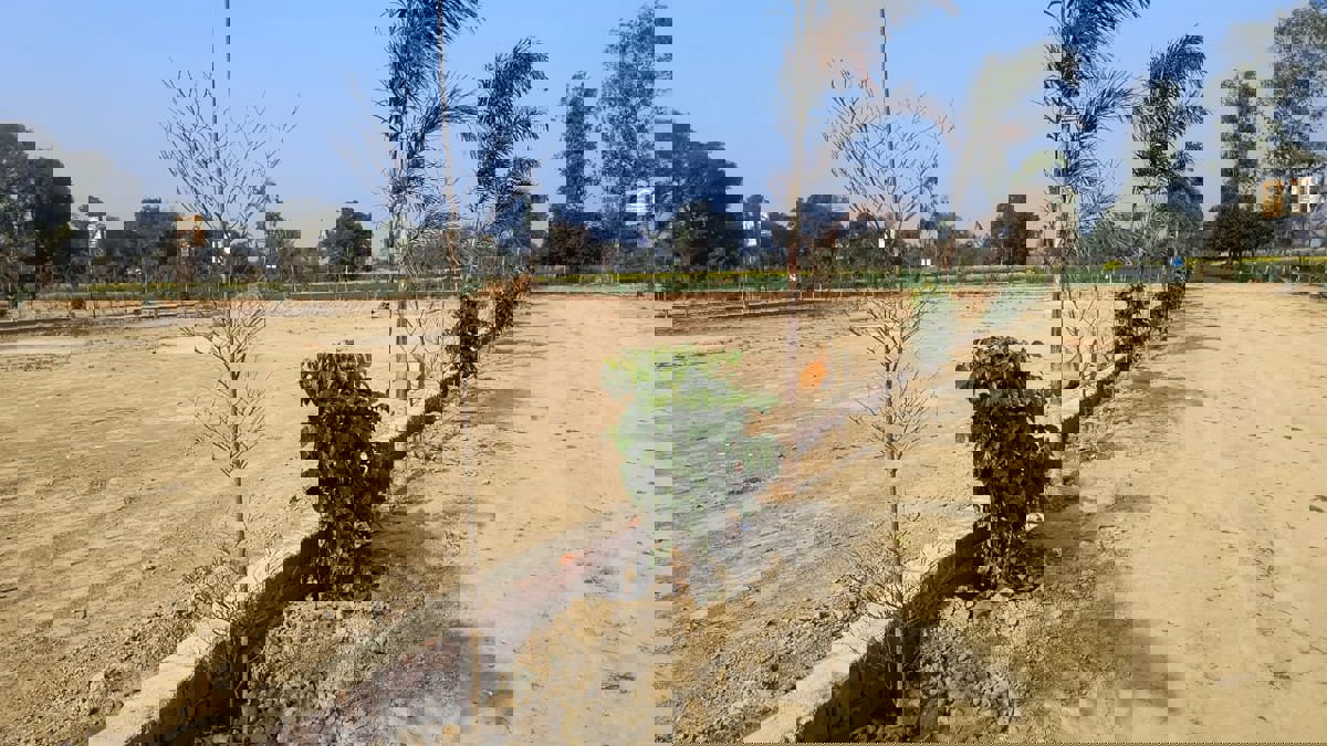 Plot For Sale in Sultanpur