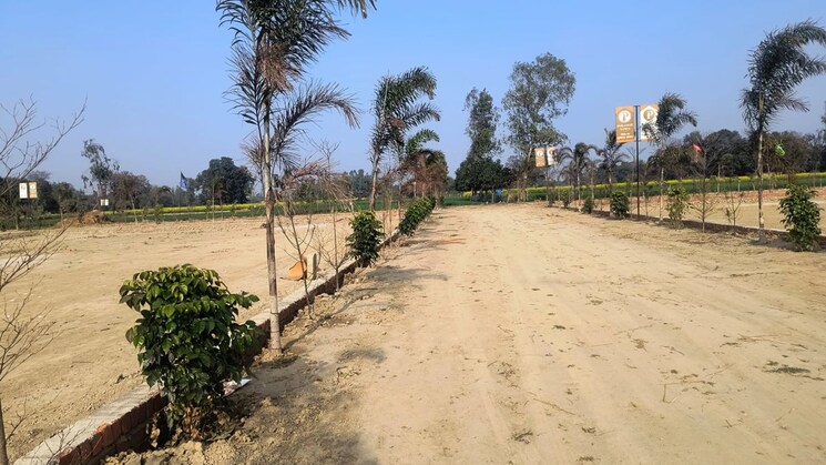 undefined, sultanpur  1000 Sq.Ft. Plot In Sultanpur Lucknow 9896682