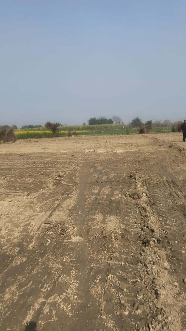 undefined, milkipur  1250 Sq.Ft. Plot In Milkipur Ayodhya 9859777
