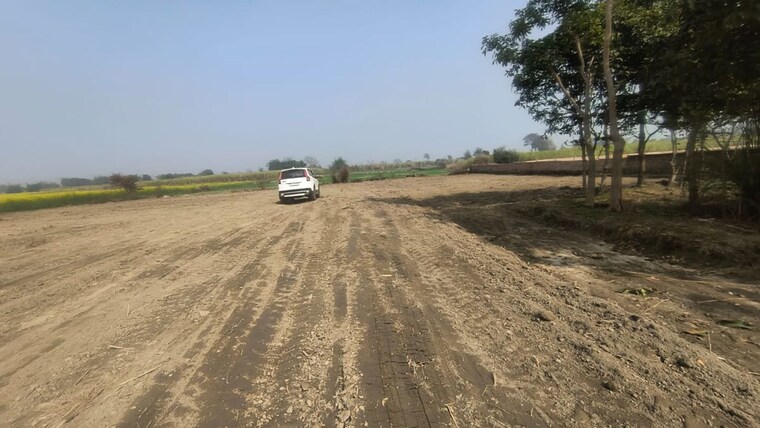 undefined, milkipur  1250 Sq.Ft. Plot In Milkipur Ayodhya 9859777