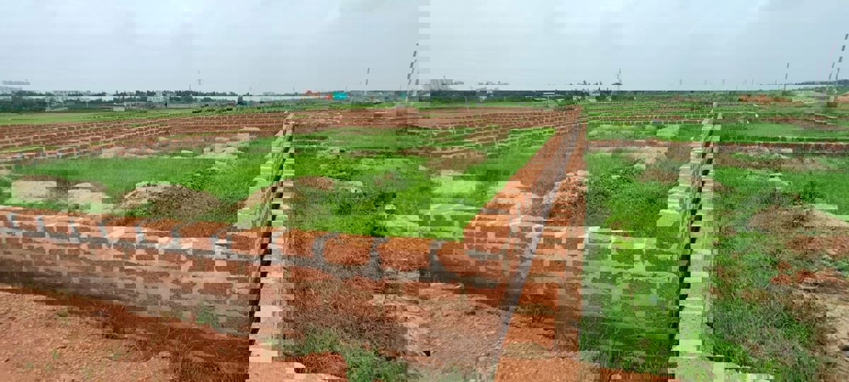 Plot For Sale in Sector 88