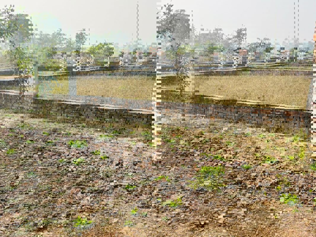 Plot For Sale in Gangaganj