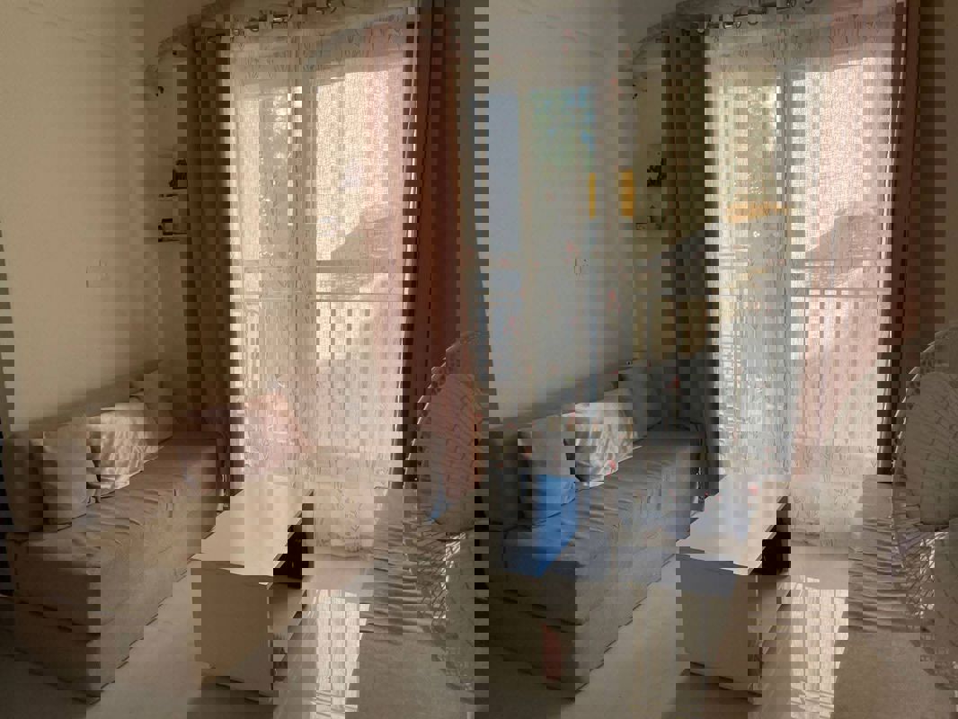 1 BHK Apartment For Rent in Dia Heights