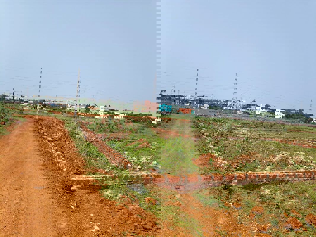 Plot For Sale in Bhopani