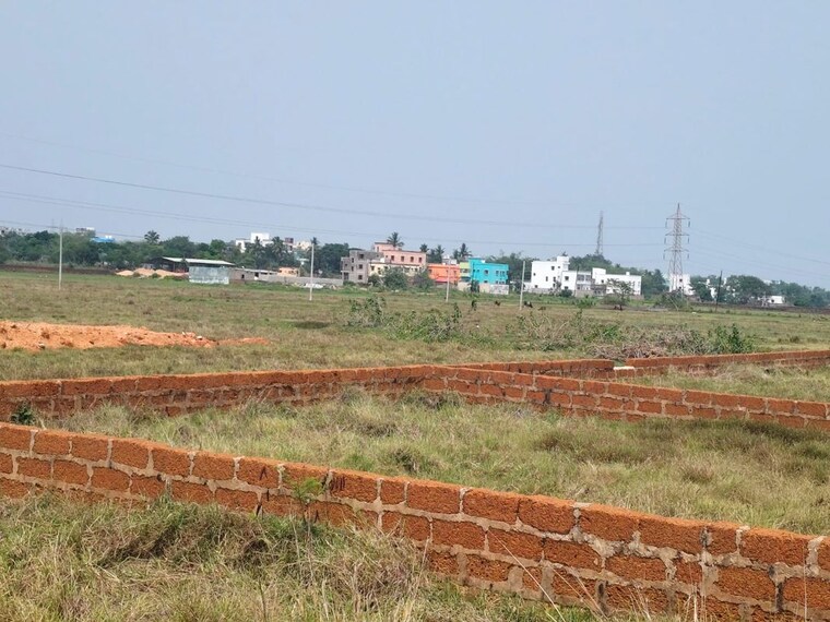 undefined, bhopani  71 Sq.Yd. Plot In Bhopani Faridabad 9909015