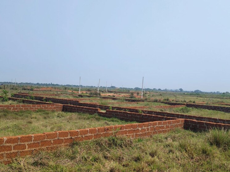 undefined, bhopani  72 Sq.Yd. Plot In Bhopani Faridabad 9909017