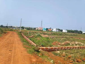  Plot For Sale in Bhopani