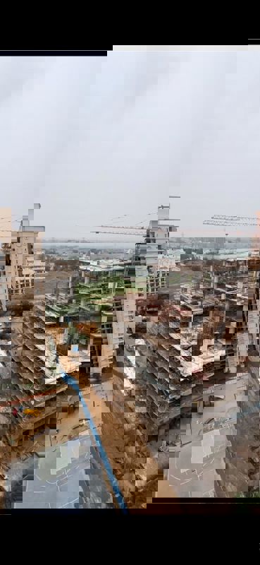 2 BHK Apartment For Rent in Signature The Serenas