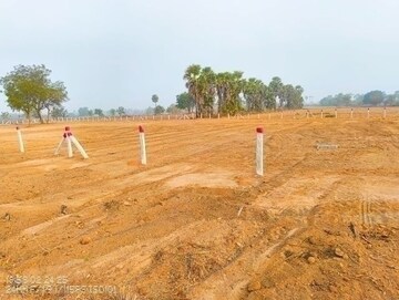 Plot Area in  Plot at Subhash Nagar – for Sale