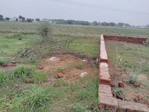 Plot Area in  Plot at Sector 34 – for Sale