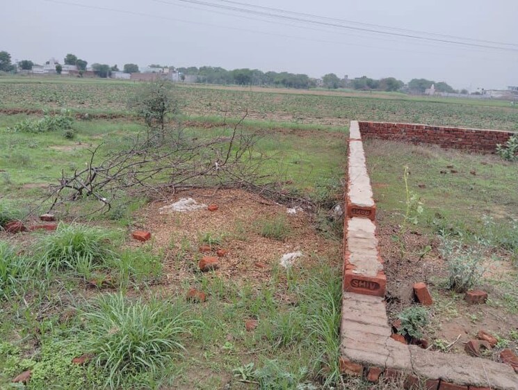 undefined, sector 34  1600 Sq.Ft. Plot In Sector 34 Sonipat 9908991