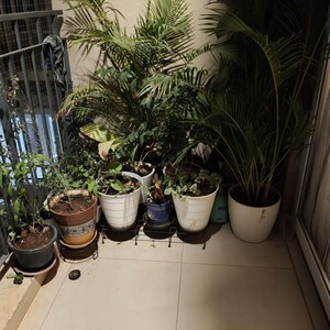 Parking in 2 BHK Apartment at Bhartiya Nikoo Homes Phase 2, Kannur – for Rent