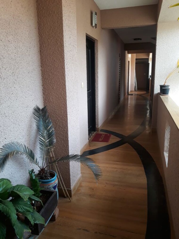 undefined, chapora 1 Bedroom 750 Sq.Ft. Apartment In Chapora Goa 9909316