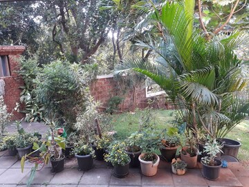 1 BHK Apartment – Garden View at Chapora - for Sale