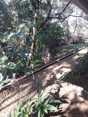 Plot Area in 1 BHK Apartment at Chapora – for Sale