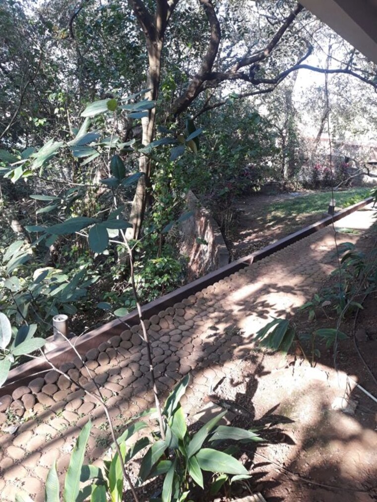 undefined, chapora 1 Bedroom 750 Sq.Ft. Apartment In Chapora Goa 9909316