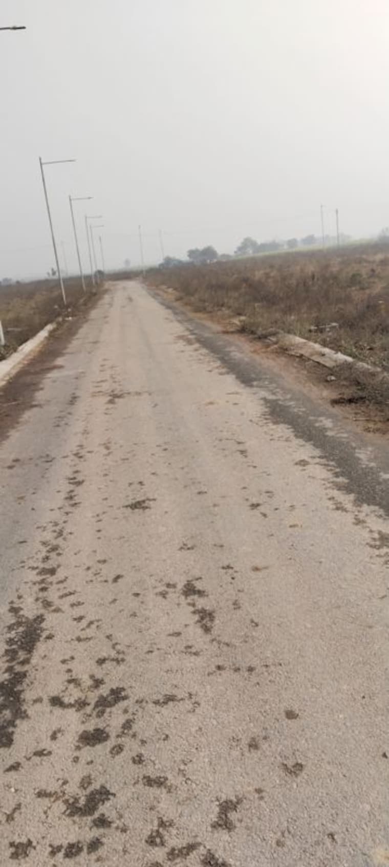 undefined, sector 15 wave city  244 Sq.Yd. Plot In Sector 15 Wave City Ghaziabad 9909376