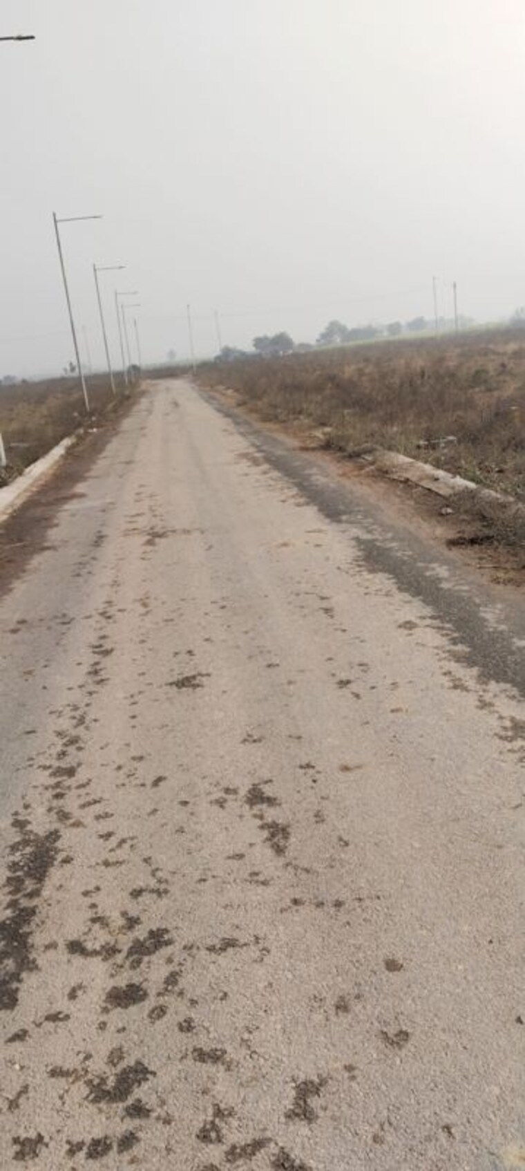 undefined, sector 15 wave city  248 Sq.Yd. Plot In Sector 15 Wave City Ghaziabad 9909375