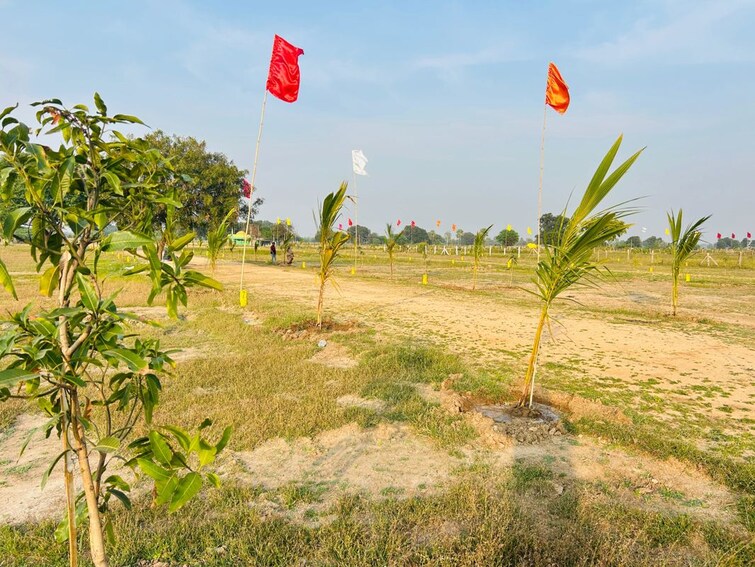 Garden, shabad Commercial Land 1210 Sq.Yd. In Shabad Hyderabad 9909491