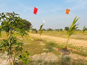 Plot Area in  Land at Shabad – for Sale
