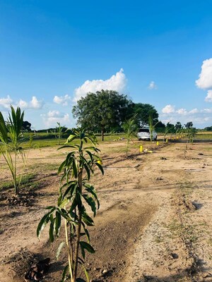 Plot Area in  Land at Shabad – for Sale