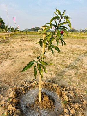  Land – Map Location View at Shabad - for Sale