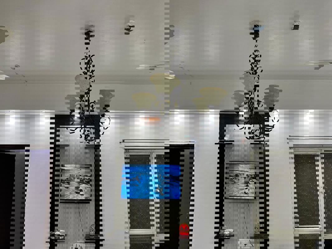 4 BHK + Pooja Room,Servant Room Apartment For Rent in 3C Lotus 300