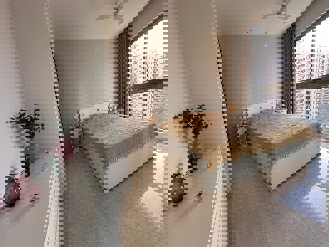 2 BHK Apartment For Rent in Castle Rock