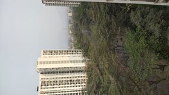 2 BHK + Pooja Room,Study Room Apartment For Rent in Lodha Palava City Lakeshore Greens