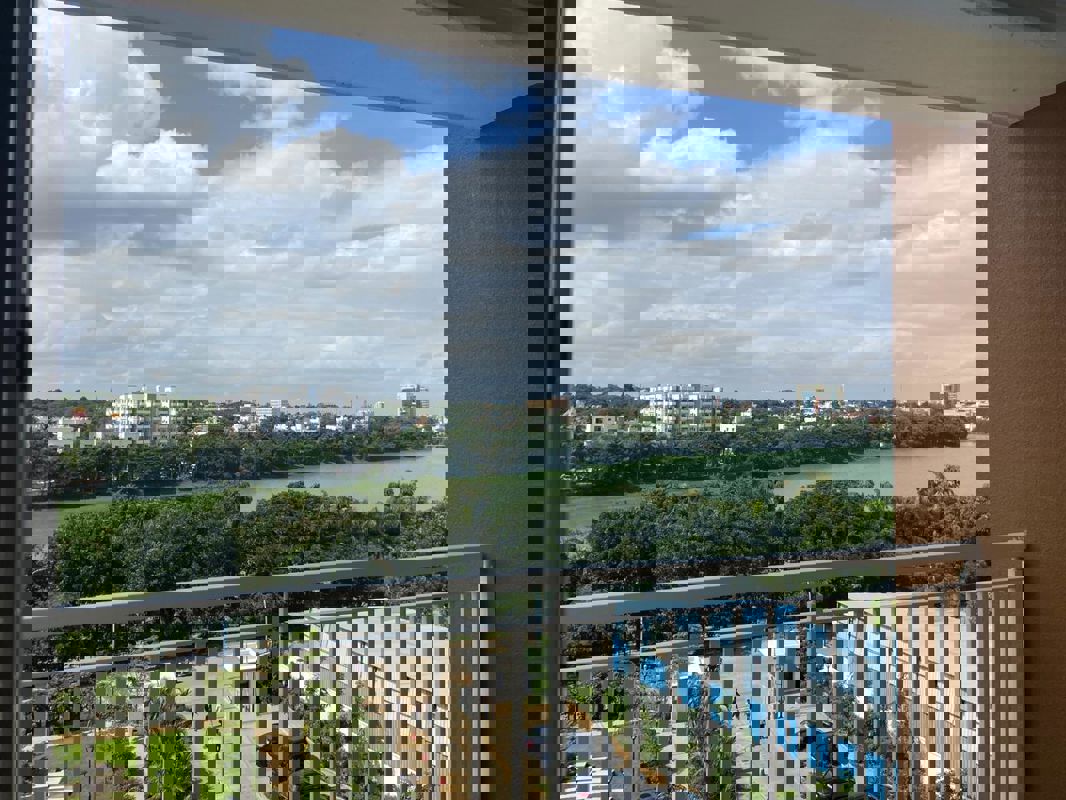 3 BHK Apartment For Rent in Capstone Life Flowing Tree