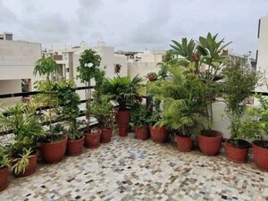 Room in  Pg at Vineet Khand – for Rent