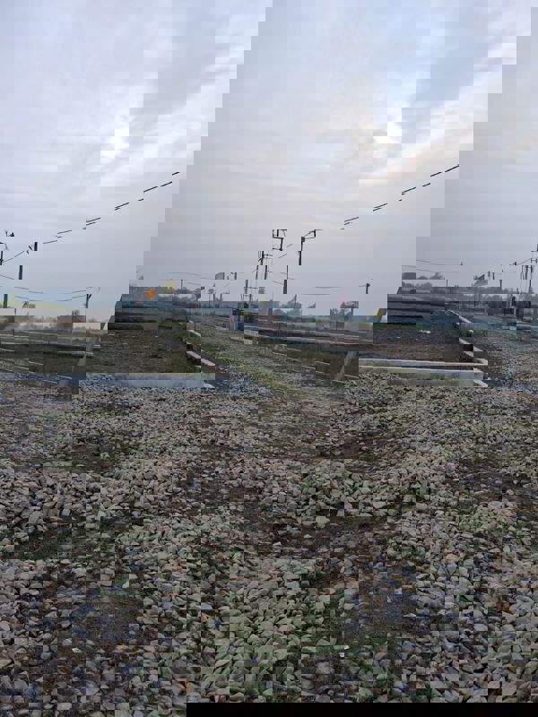 Plot For Sale in Gosainganj