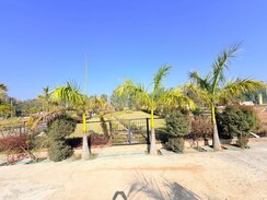Plot For Sale in Mohabbewala