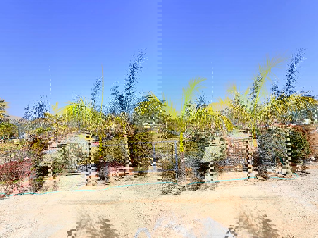 Plot For Sale in Mohabbewala