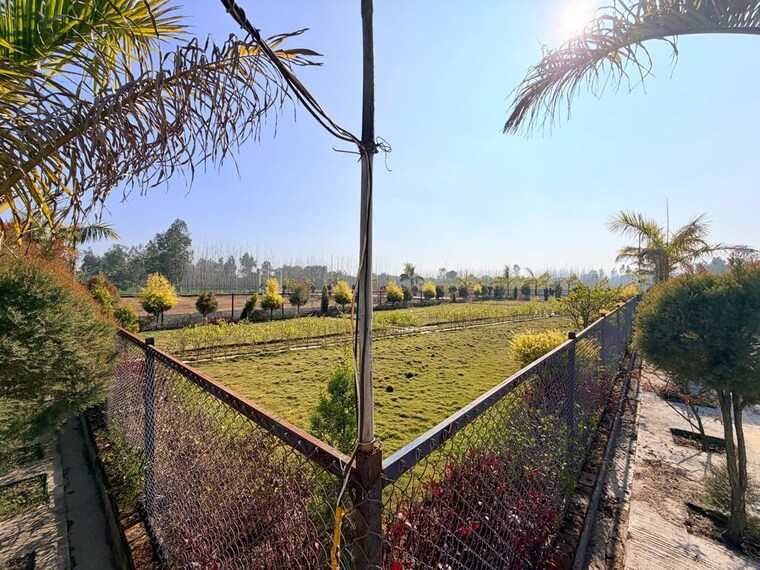 Garden, dehradun cantt  145 Sq.Yd. Plot In Dehradun Cantt Dehradun 9910651