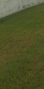 255 Sq.Yd. Plot in Vikas Nagar