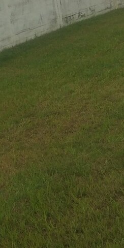 Plot For Sale in Vikas Nagar