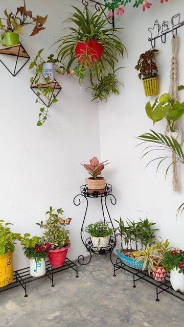 Room in  Pg at Vineet Khand – for Rent