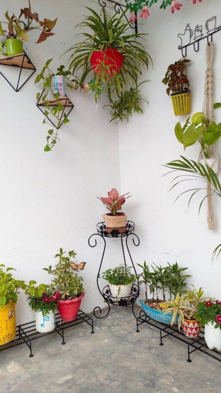 Room, vineet khand Pg For Girls In Vineet Khand 9910716