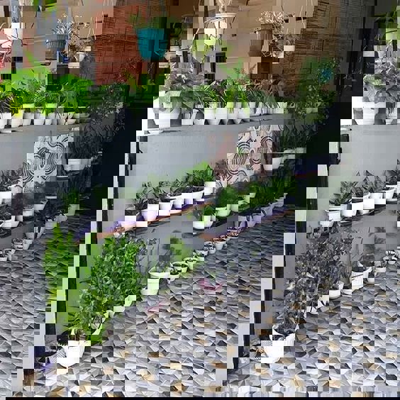 Pg For Rent in Vineet Khand