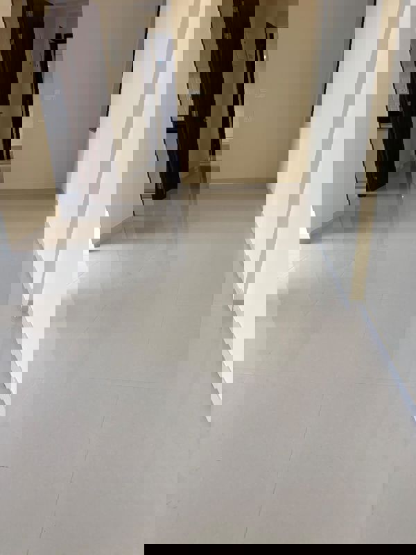 3 BHK 1150 Sq.Ft. Apartment in Kalpataru Mugnus