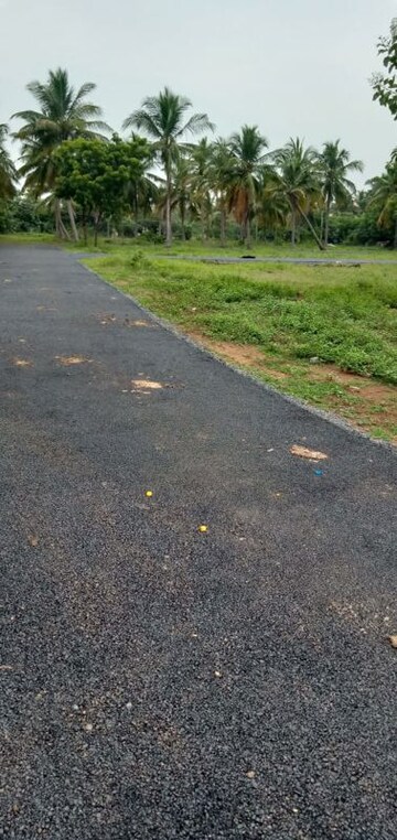 Plot Area in  Plot at Veppampattu – for Sale